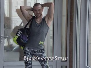 BjornVanderStein