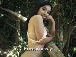 Blossom_honey