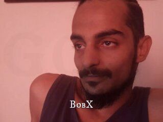 BobX