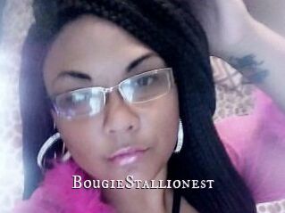 BougieStallionest