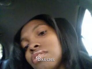 Breche