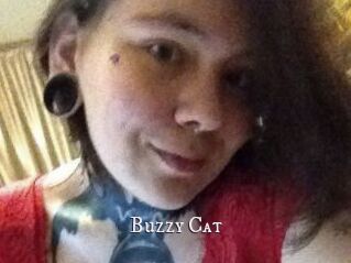 Buzzy_Cat