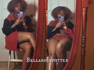 Bellarosepotter