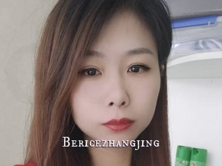 Bericezhangjing
