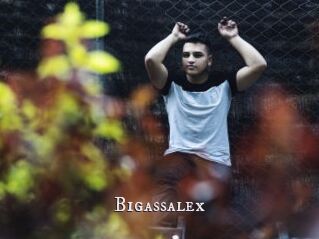 Bigassalex