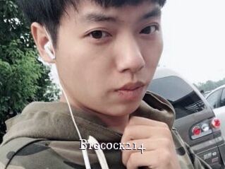 Bigcock214