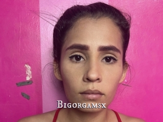 Bigorgamsx