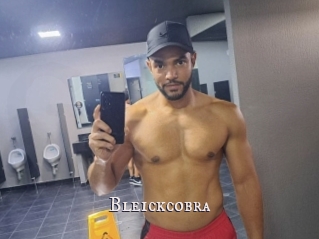Bleickcobra