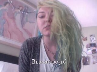 Bluebird0316