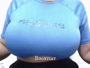 Boobycat