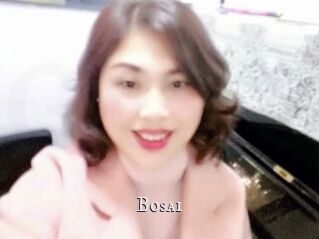 Bosai