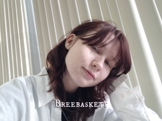 Breebaskett