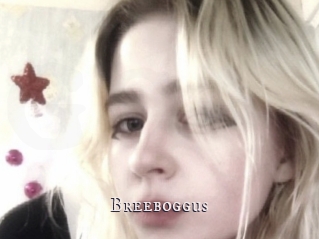 Breeboggus