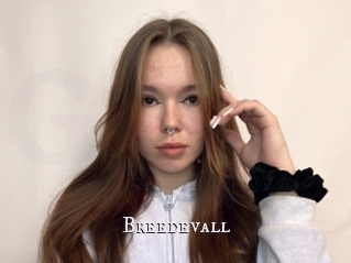Breedevall