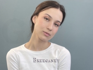 Breeganet