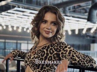 Breehakes