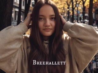 Breehallett
