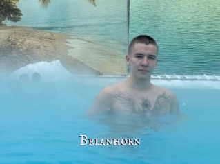 Brianhorn