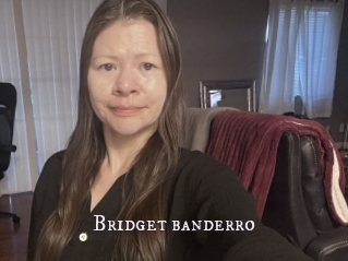 Bridget_banderro
