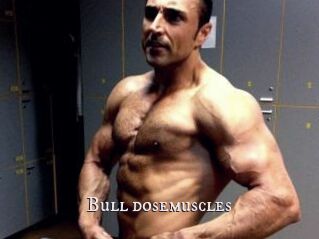 Bull_dosemuscles