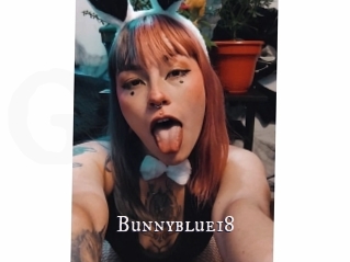 Bunnyblue18