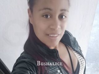 Bushalice