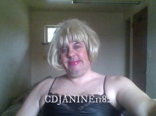 CDJANINE1182