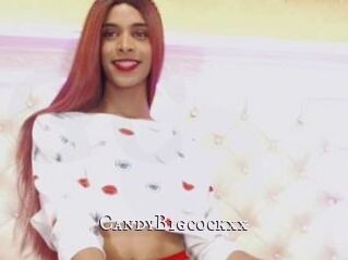 CandyBigcockxx