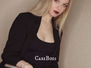 CariBois