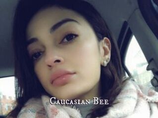 Caucasian_Bee