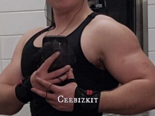 Ceebizkit