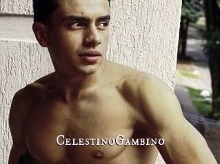 CelestinoGambino