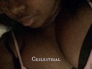 Ceslestrial