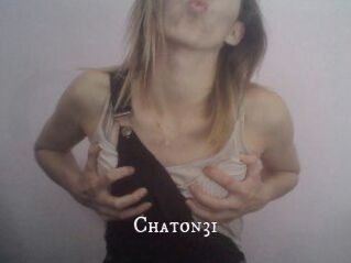 Chaton31