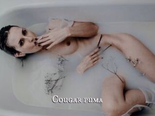 Cougar_puma