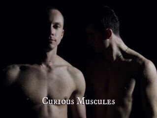 Curious_Muscules