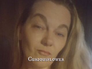 Curiousflower