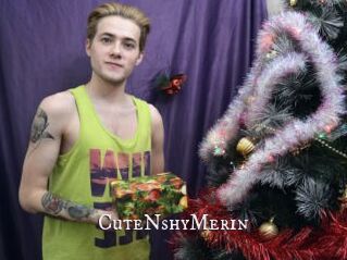 CuteNshyMerin