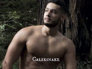 Calixsnake