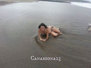 Canariona23