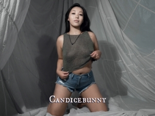 Candicebunny