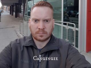 Cangingie