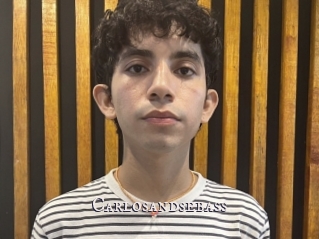 Carlosandsebass