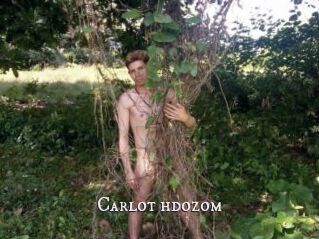 Carlot_hdozom
