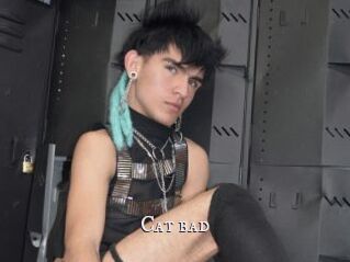 Cat_bad