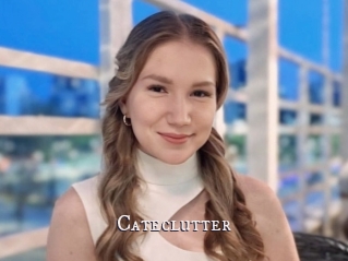 Cateclutter