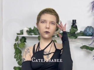 Catefarabee