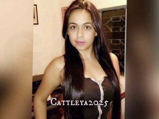 Cattleya2025