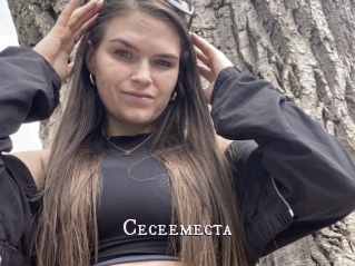 Ceceemecta