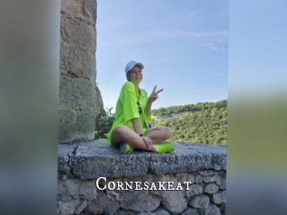 Cornesakeat